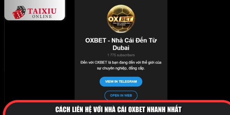 Oxbet 7 394 Đa dạng các kênh liên hệ Oxbet
