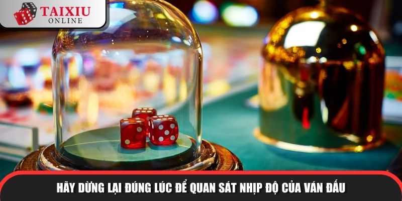 cau thuan cau nghich tai xiu 4 959 Hãy dừng lại đúng lúc để quan sát nhịp độ của ván đấu