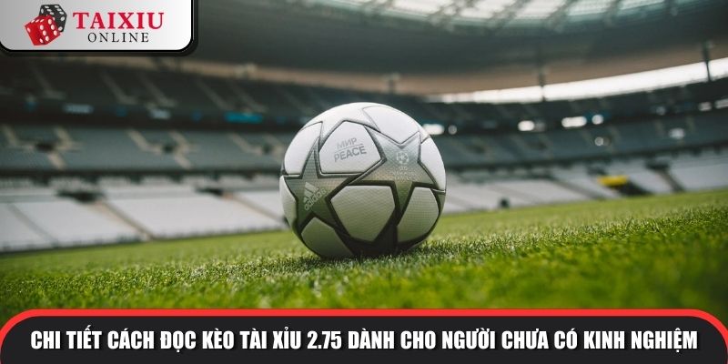 keo tai xiu 2.75 2 1027 Chi tiết cách đọc kèo tài xỉu 2.75 dành cho người chưa có kinh nghiệm